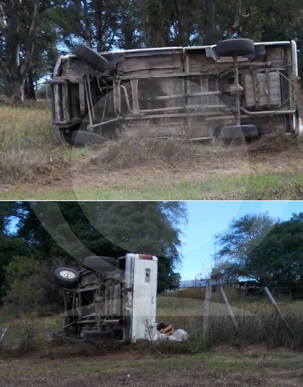 vuelcoof100 vuelcoof100