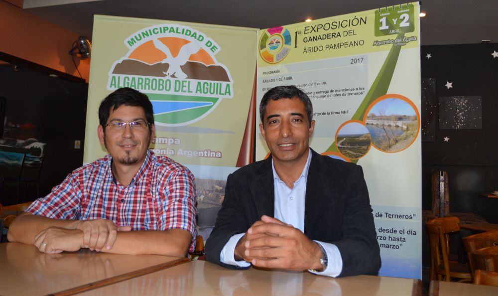 gaticamendozza gaticamendozza