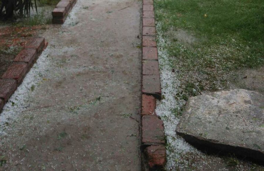 algarrobtorme algarrobtorme