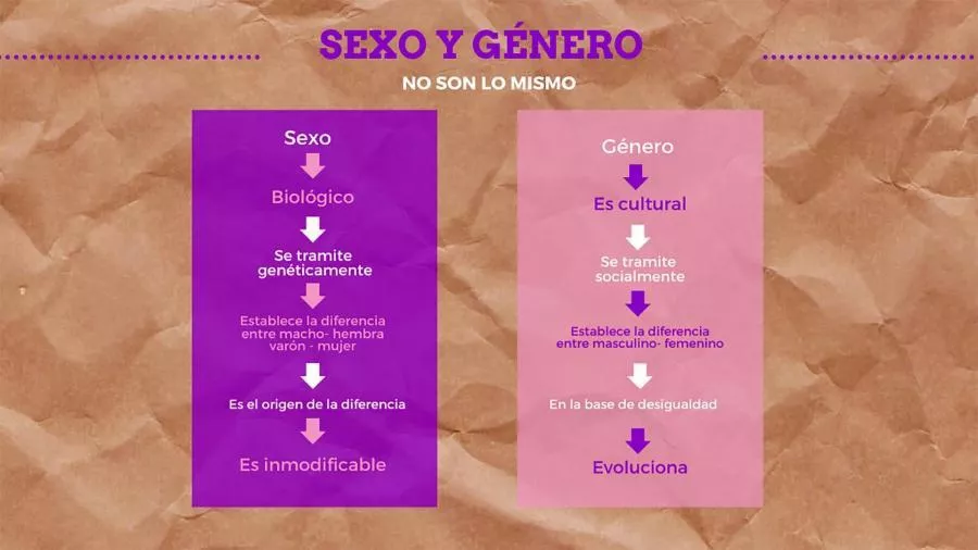 sexogennero