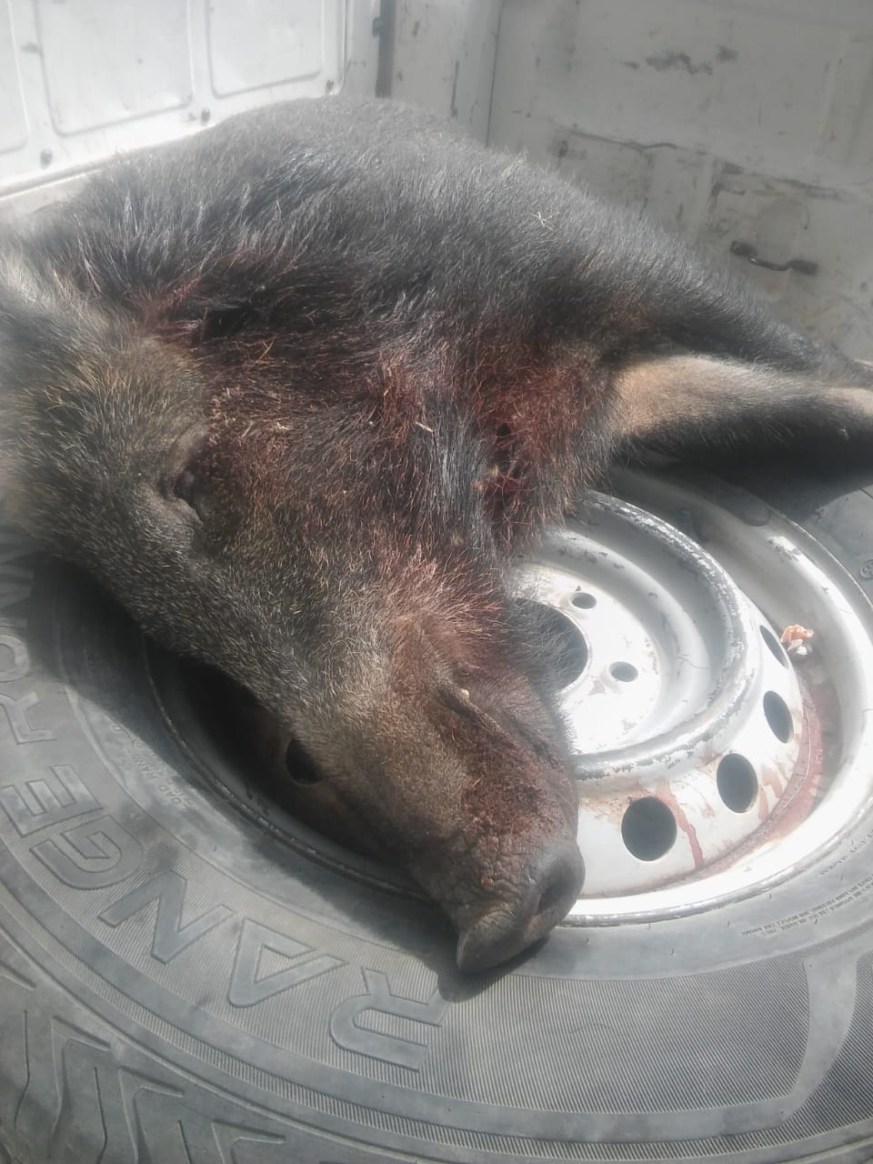 PHOTO-2019-03-06-12-13-23_1