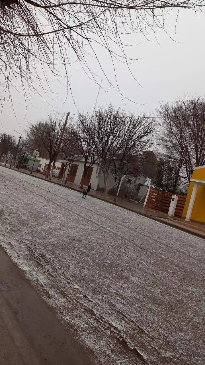 WhatsApp Image 2022-08-06 at 6.18.22 PM