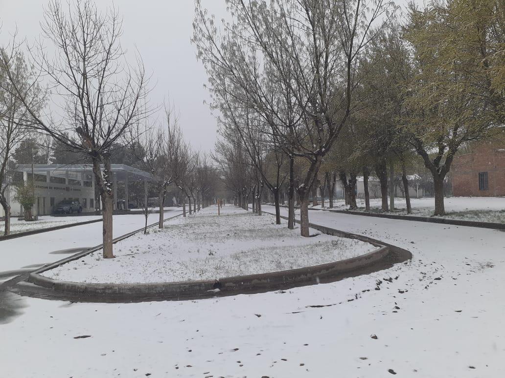 WhatsApp Image 2020-10-03 at 10.49.30(1)