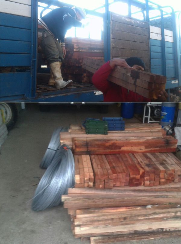 carroprodfuegoo carroprodfuegoo