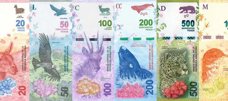 belletessdesnvosanemales