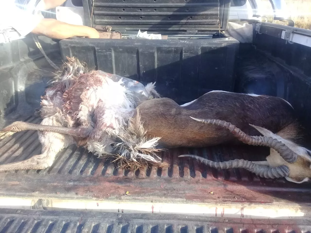 WhatsApp Image 2022-04-24 at 10.33.27 PM (2)