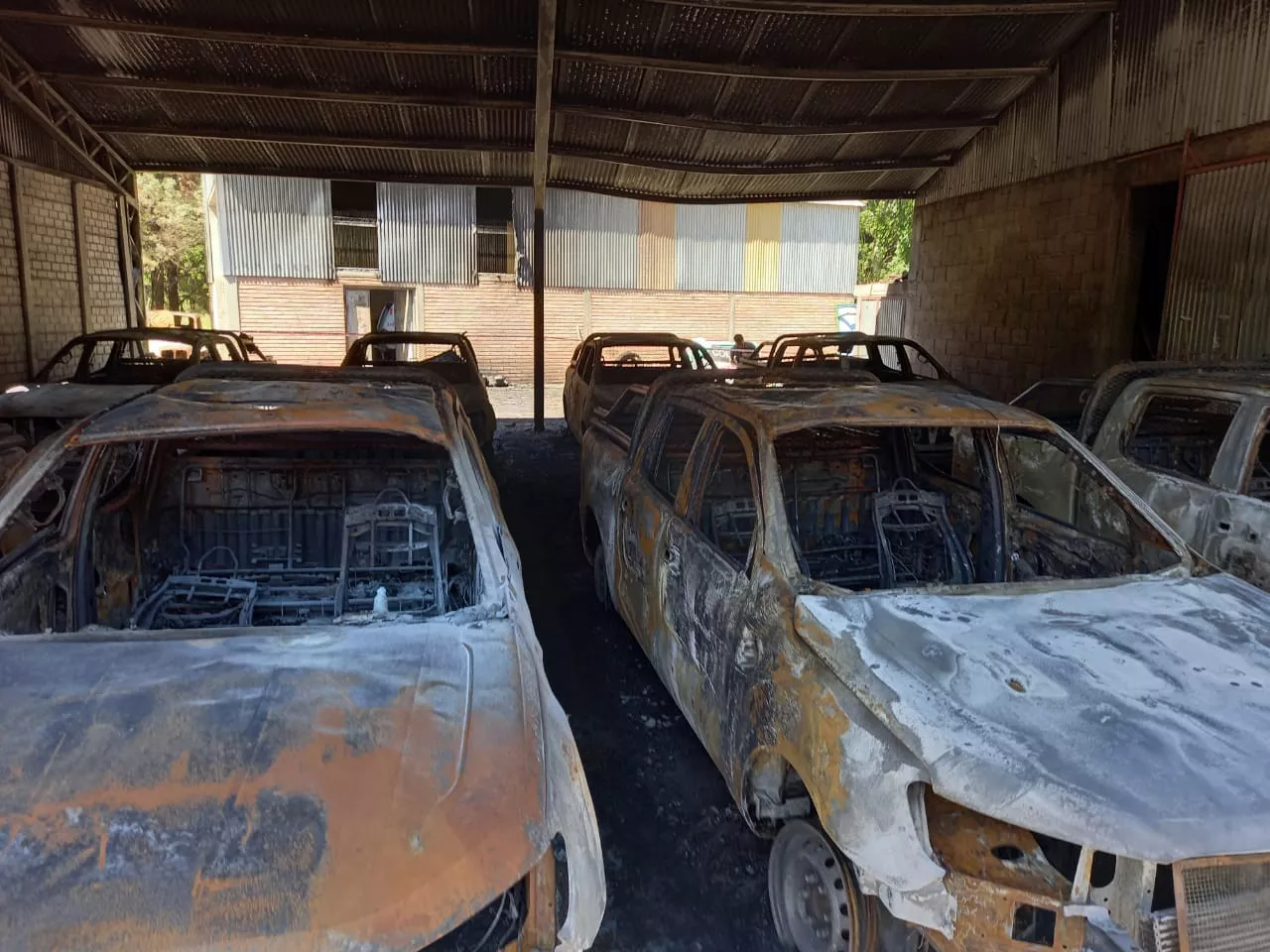 WhatsApp Image 2021-11-02 at 12.18.50