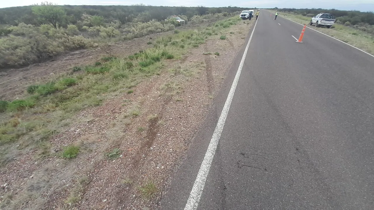 WhatsApp Image 2023-10-21 at 8.22.00 PM (1)