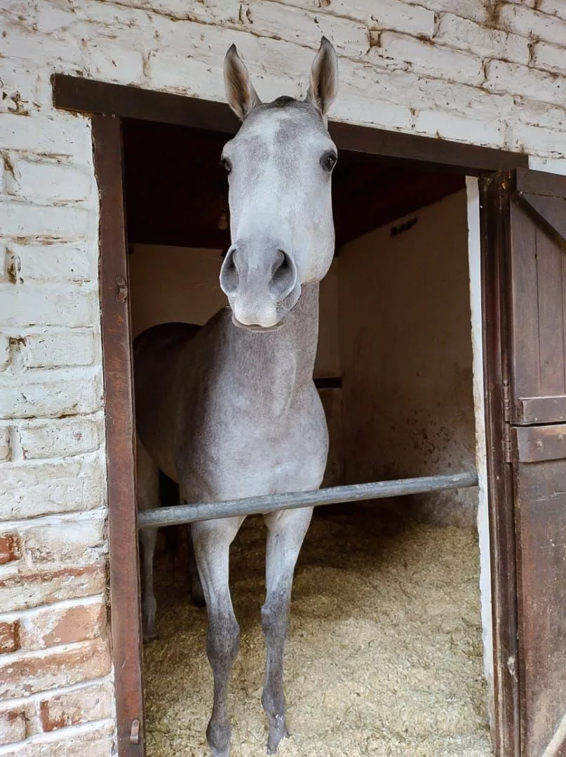 WhatsApp Image 2023-04-08 at 13.18.48