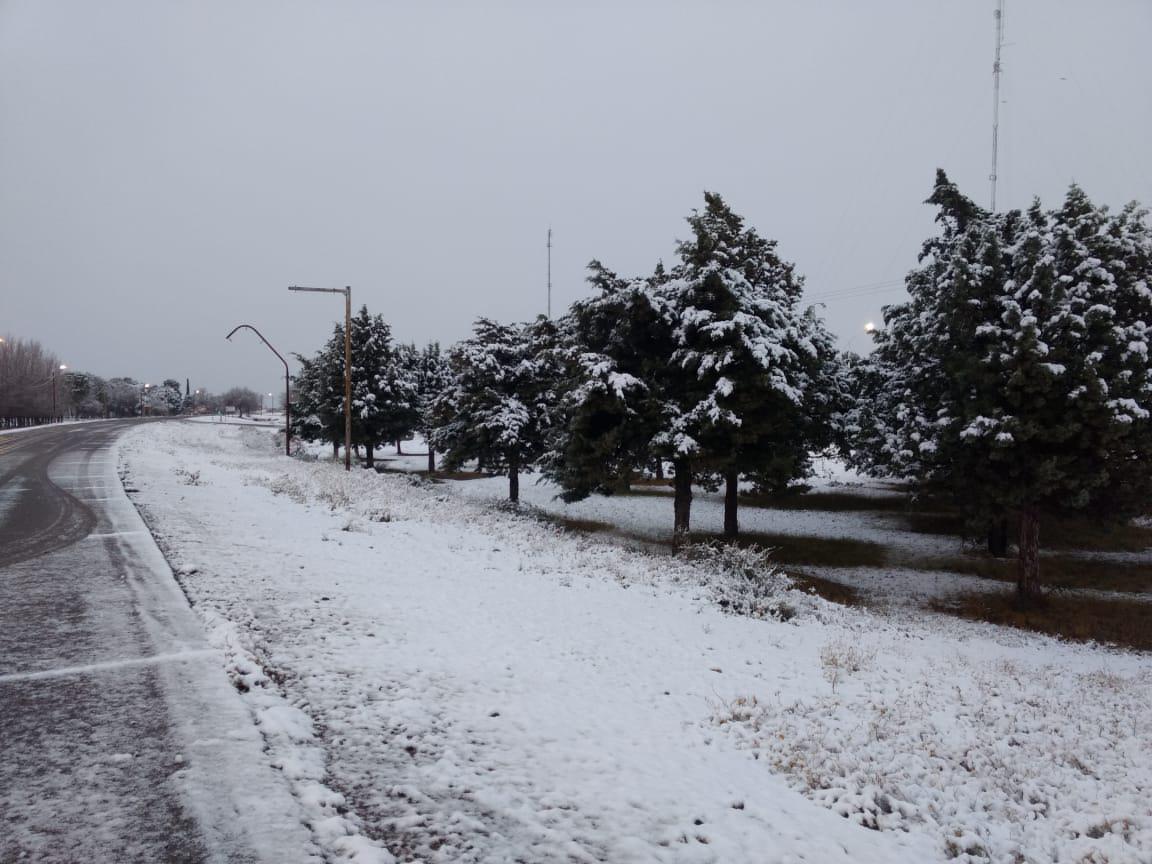 WhatsApp Image 2020-06-27 at 11.34.26(1)