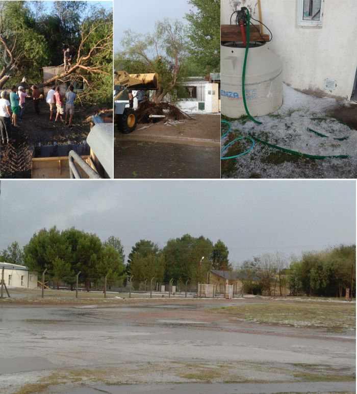 fotosalgarrob fotosalgarrob