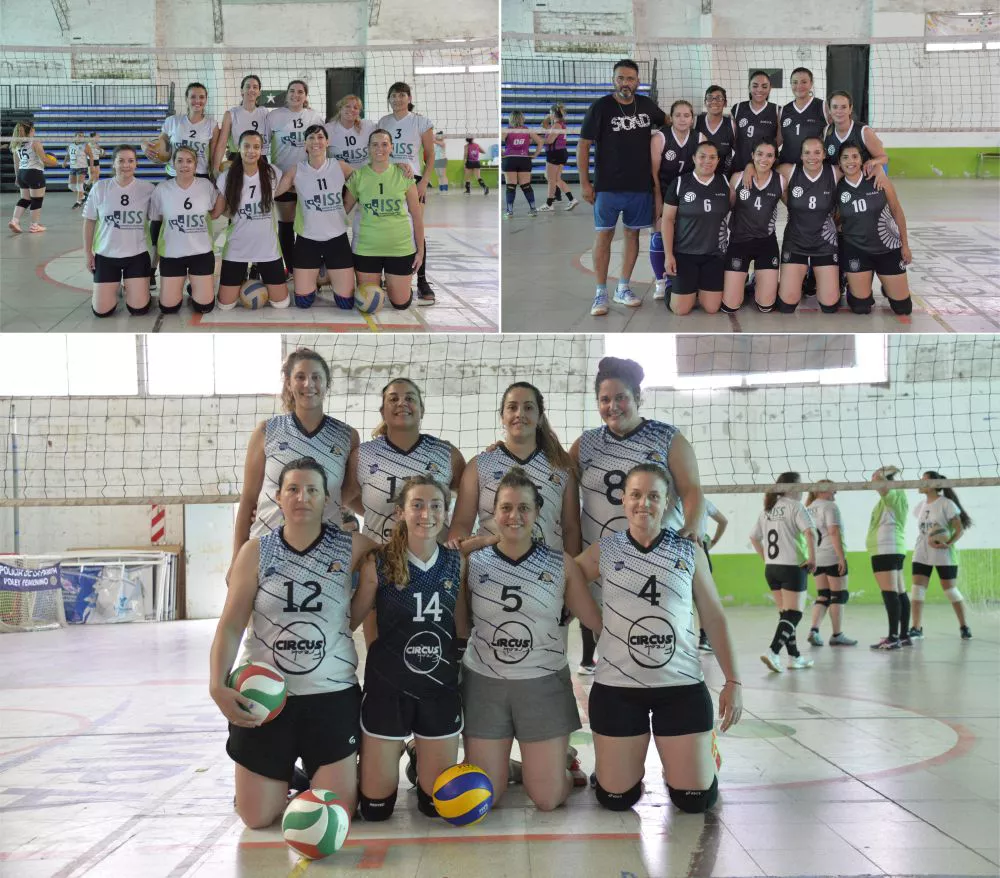 voleystarosaasasf