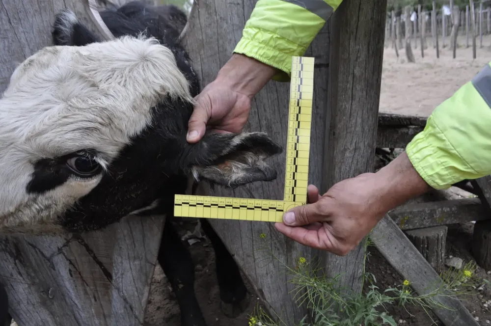 WhatsApp Image 2023-10-19 at 5.26.06 PM