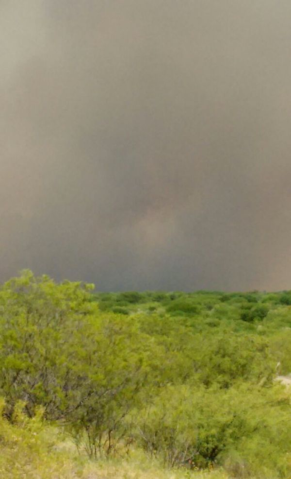 raulcabral raulcabral