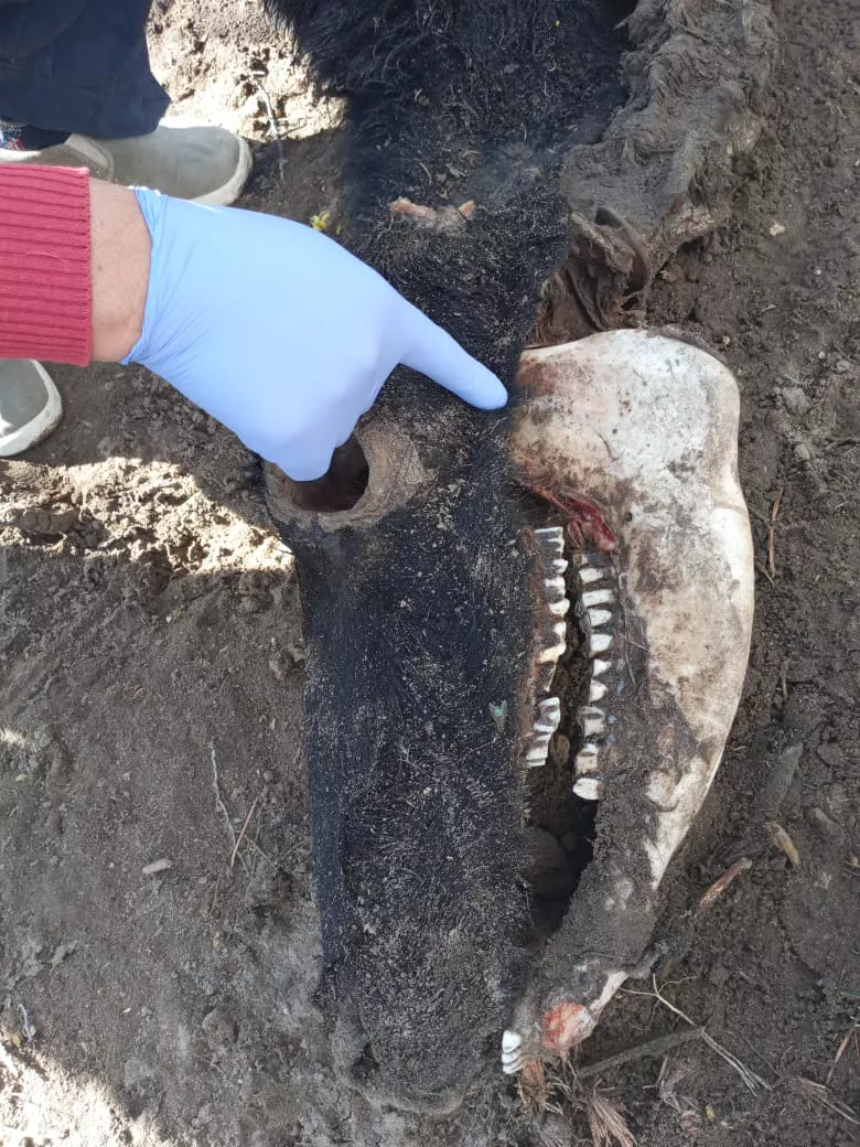 WhatsApp Image 2021-08-19 at 12.30.39(1)