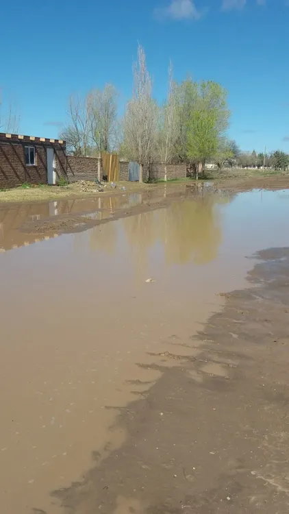 WhatsApp Image 2023-09-07 at 15.13.36