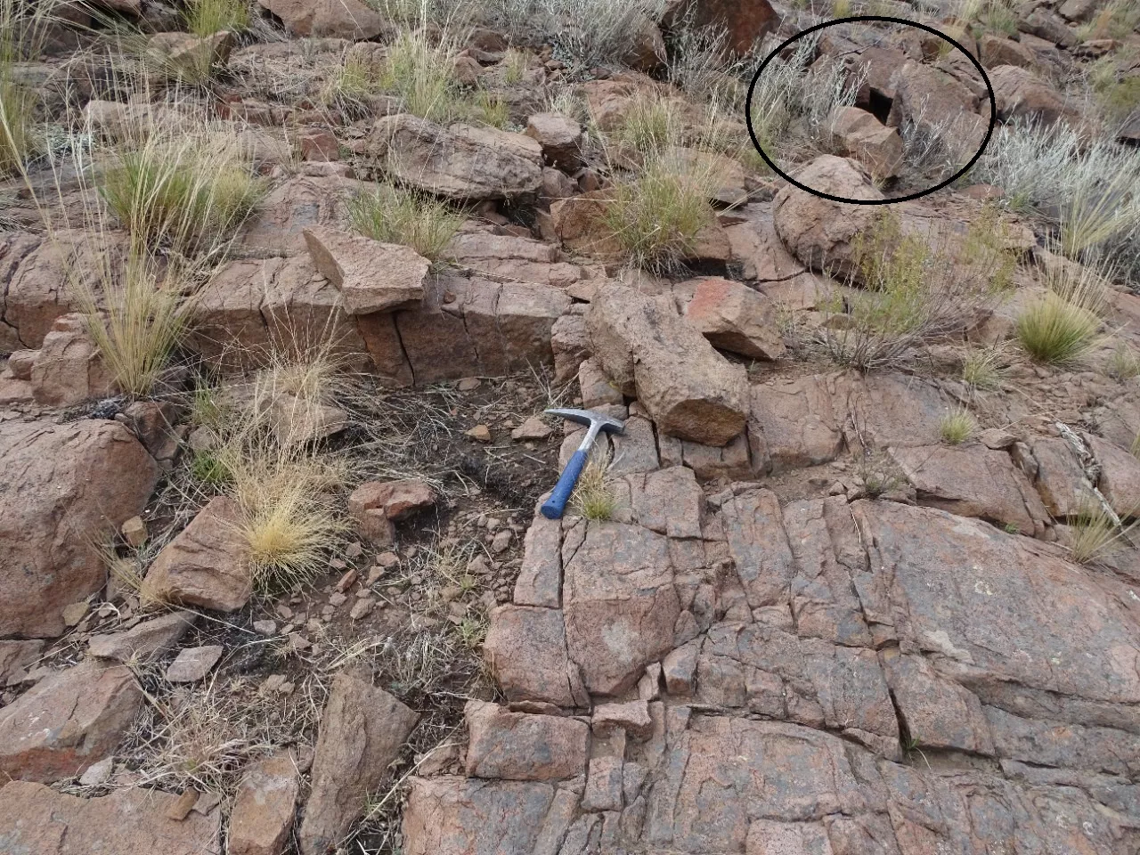 2022-05-23 - figura 3 b