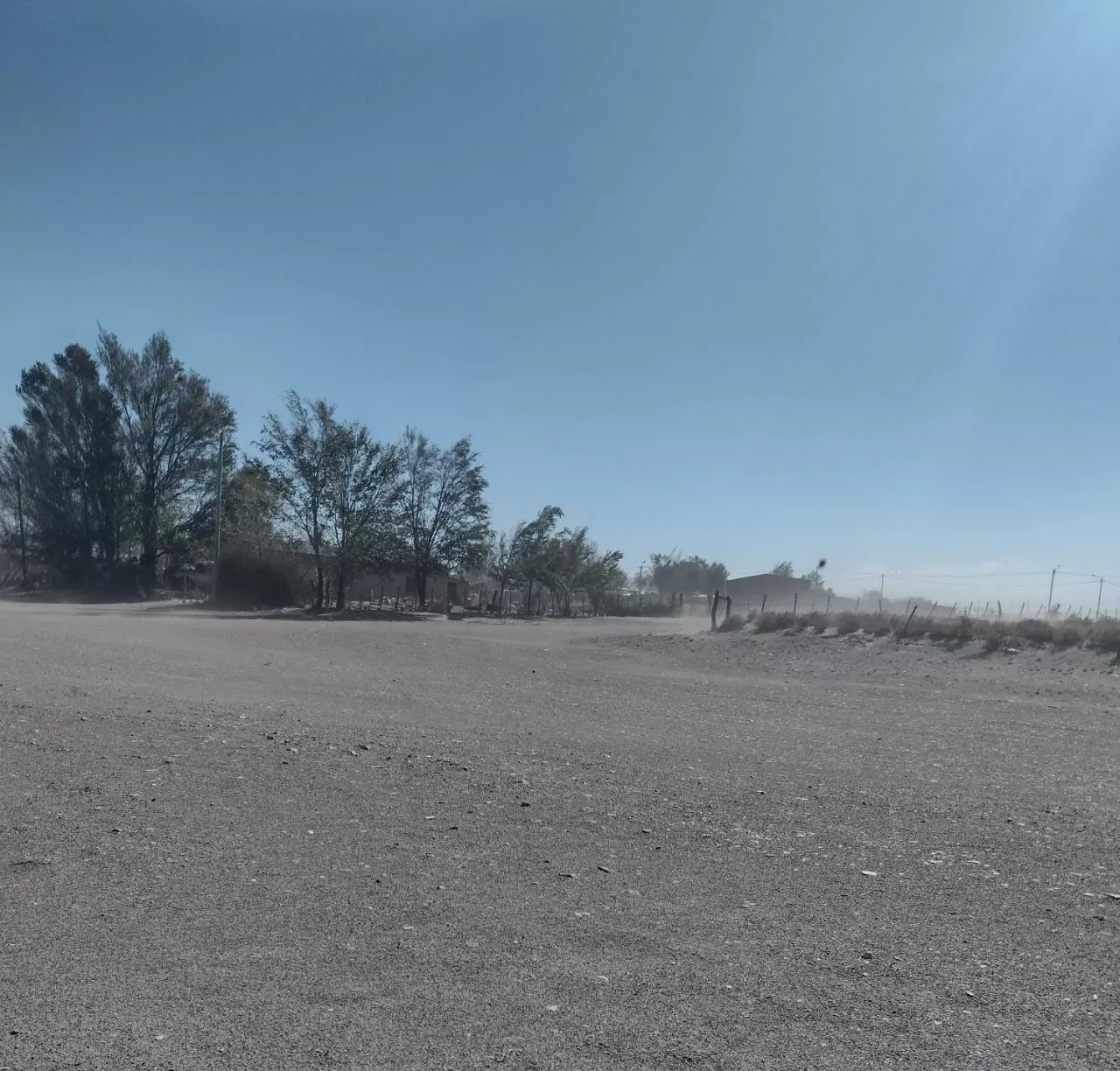 WhatsApp Image 2022-04-26 at 1.34.03 PM (1)