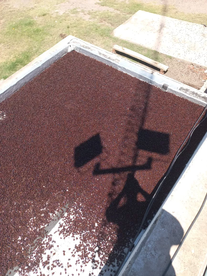 WhatsApp Image 2022-01-09 at 8.59.24 PM