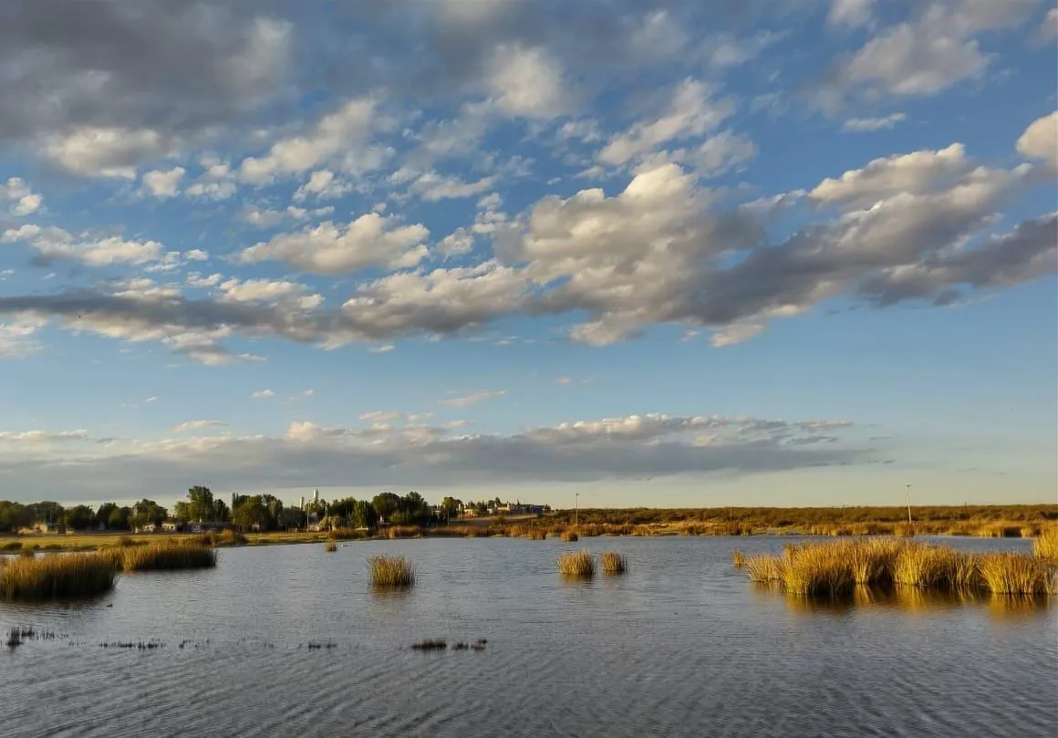 WhatsApp Image 2023-09-06 at 13.04.57