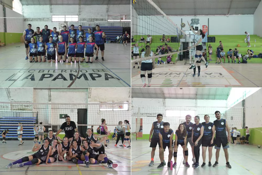voleystarosaasasfd