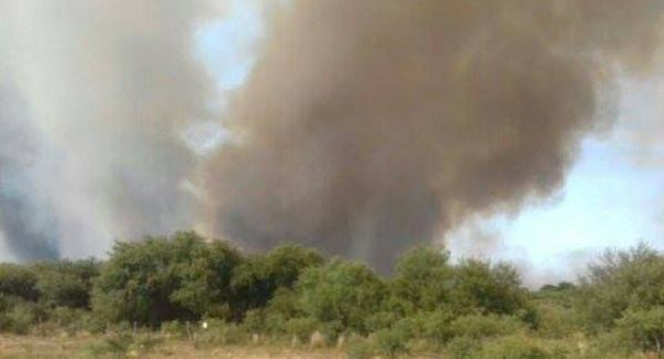 BrendaPonce BrendaPonce