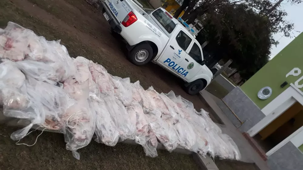 WhatsApp Image 2022-04-20 at 9.17.49 AM