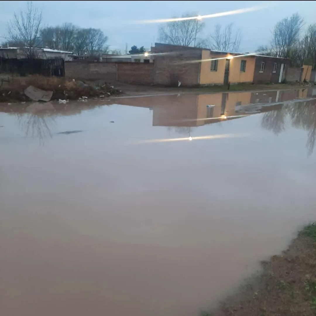 WhatsApp Image 2023-09-07 at 15.13.38