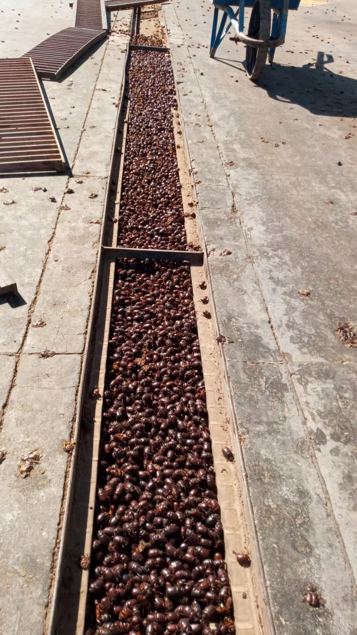 WhatsApp Image 2022-01-09 at 9.02.42 PM (1)