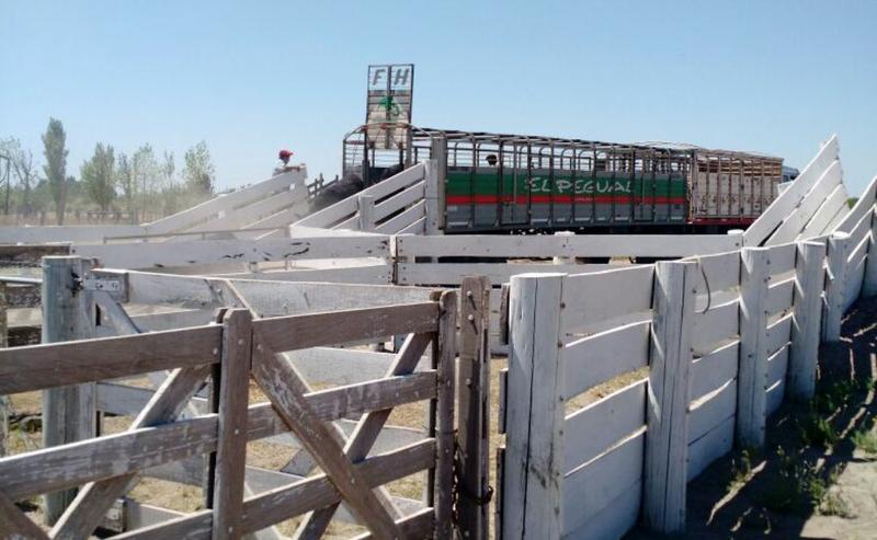 feriaalgarr feriaalgarr