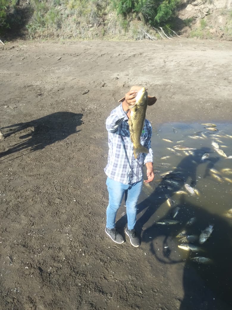 WhatsApp Image 2020-01-21 at 22.33.27