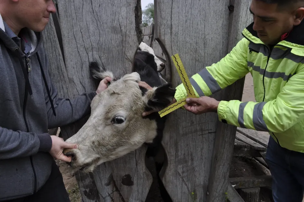 WhatsApp Image 2023-10-19 at 5.26.31 PM