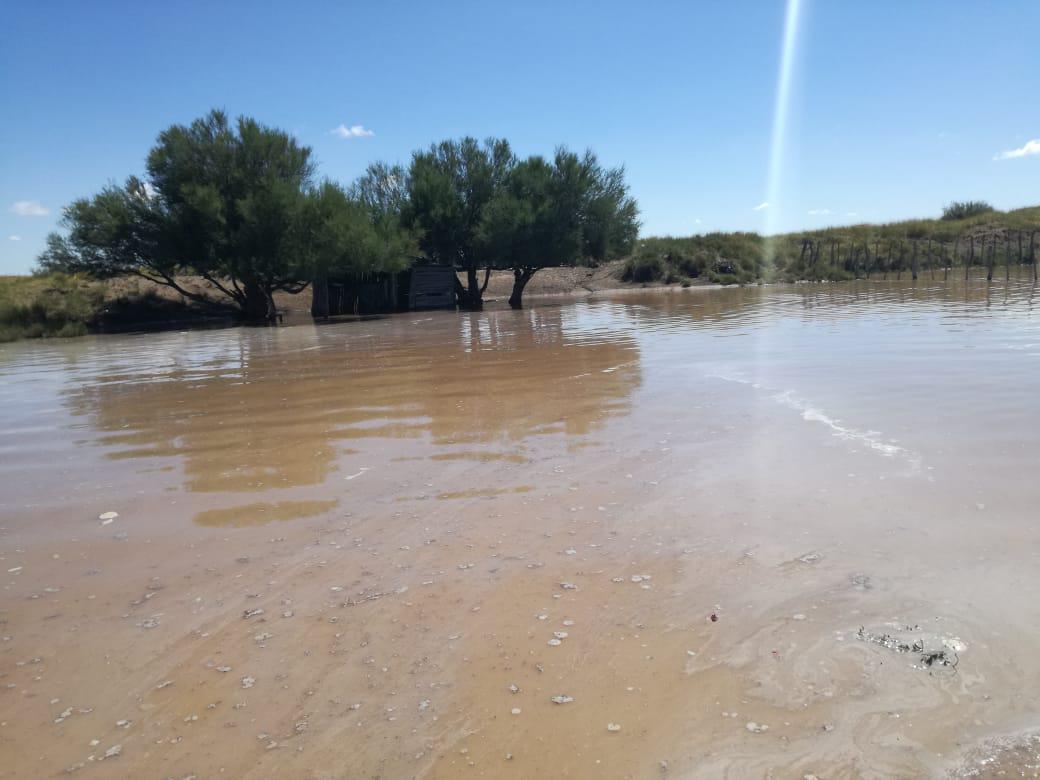 WhatsApp Image 2021-01-14 at 14.18.41