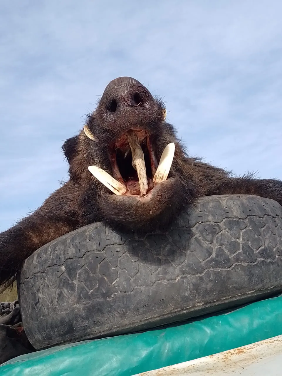 WhatsApp Image 2023-07-02 at 20.38.11