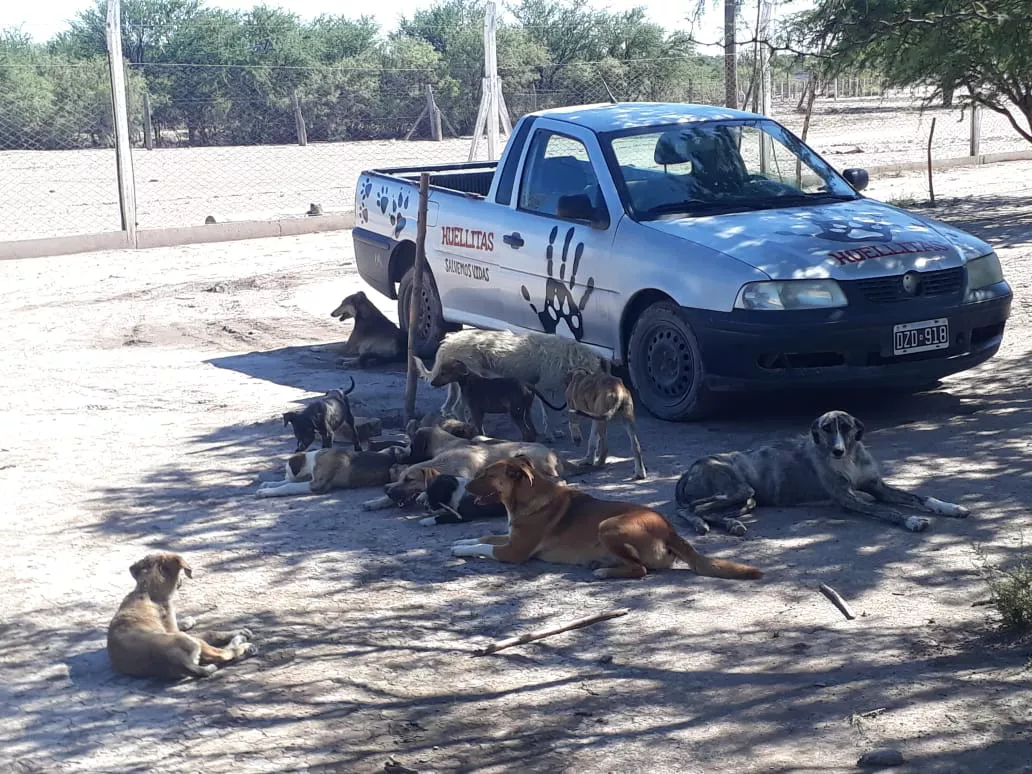 WhatsApp Image 2022-01-28 at 6.50.26 PM (1)