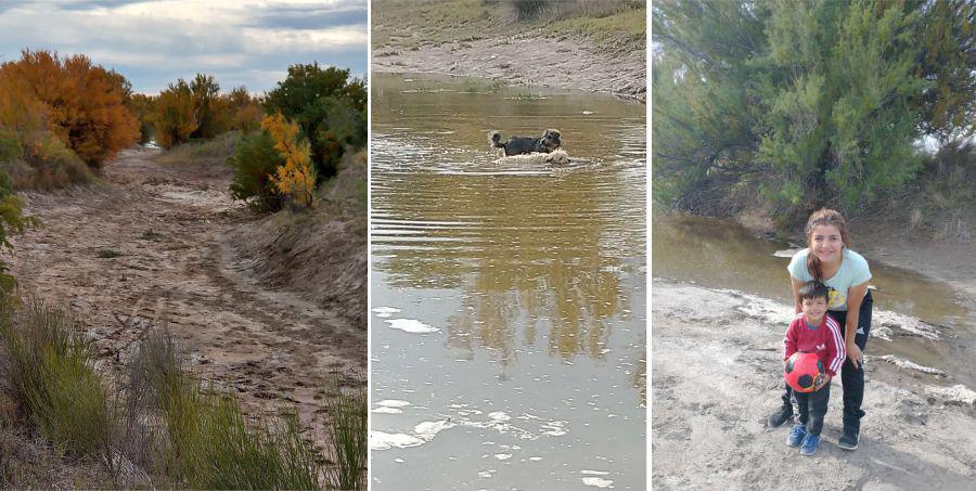 elatuelllegandoalgarr