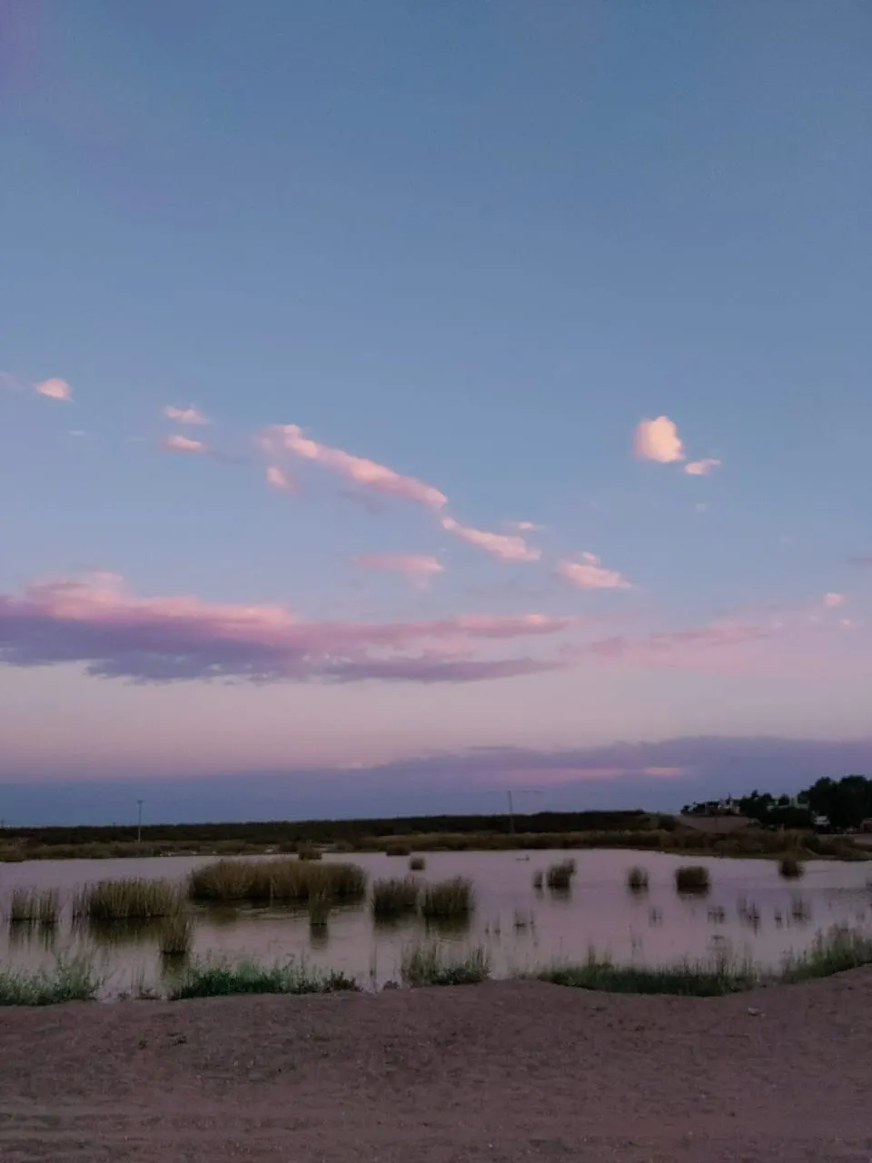 WhatsApp Image 2023-09-06 at 13.04.19