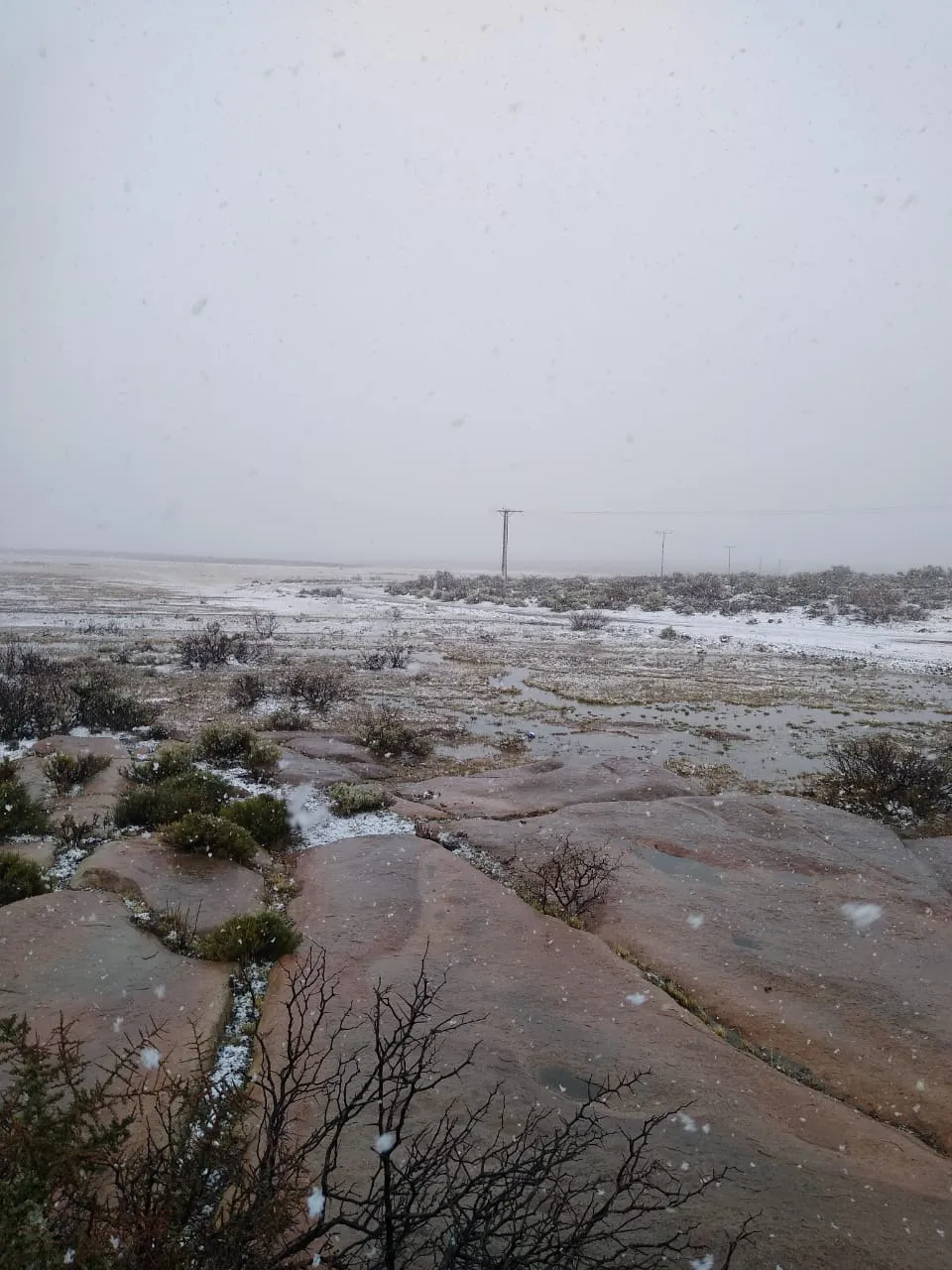 WhatsApp Image 2023-09-04 at 18.01.14