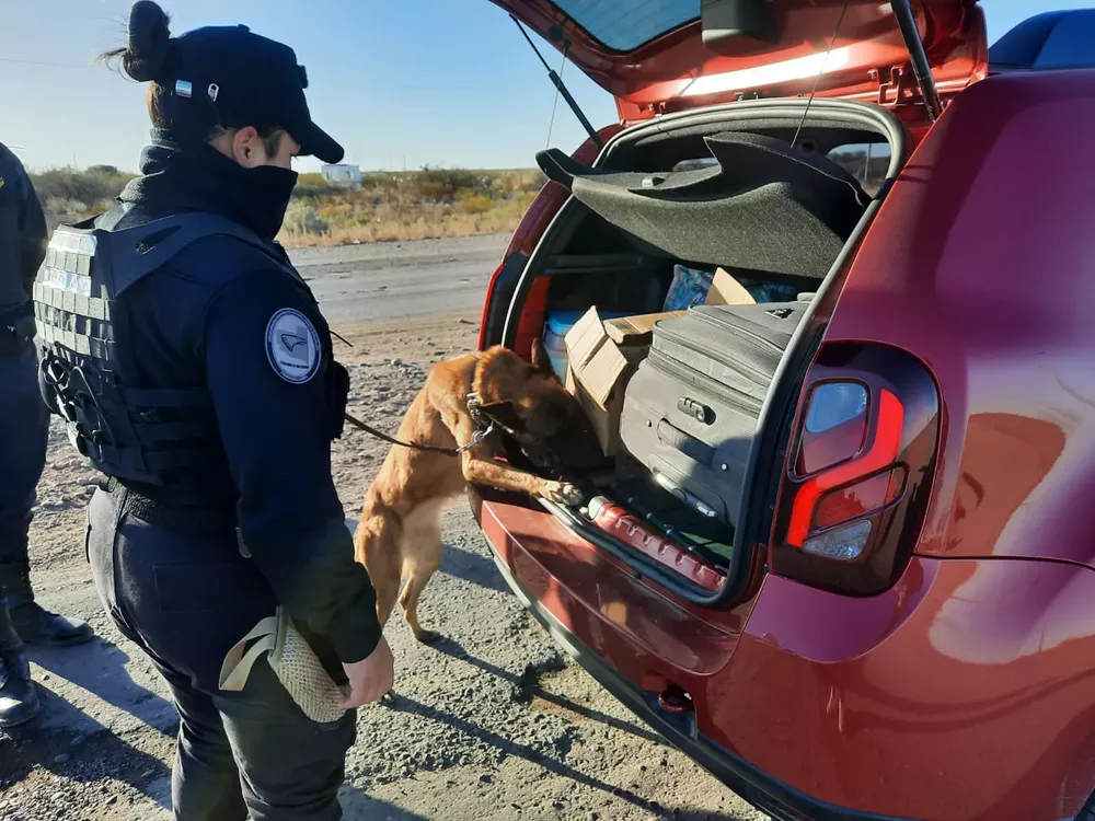 Galería APN - 2022-07-30T184343.060