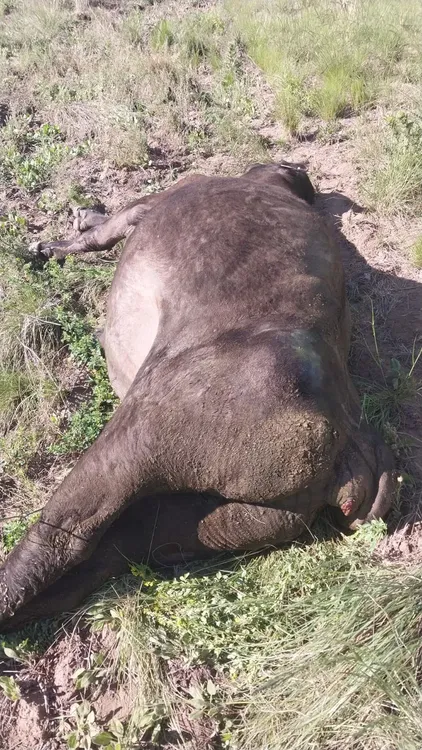 WhatsApp Image 2023-11-08 at 10.50.03 AM