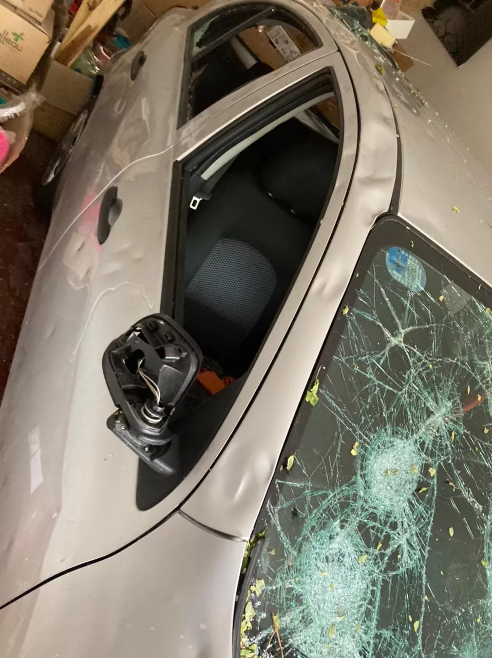 WhatsApp Image 2023-01-27 at 21.13.45