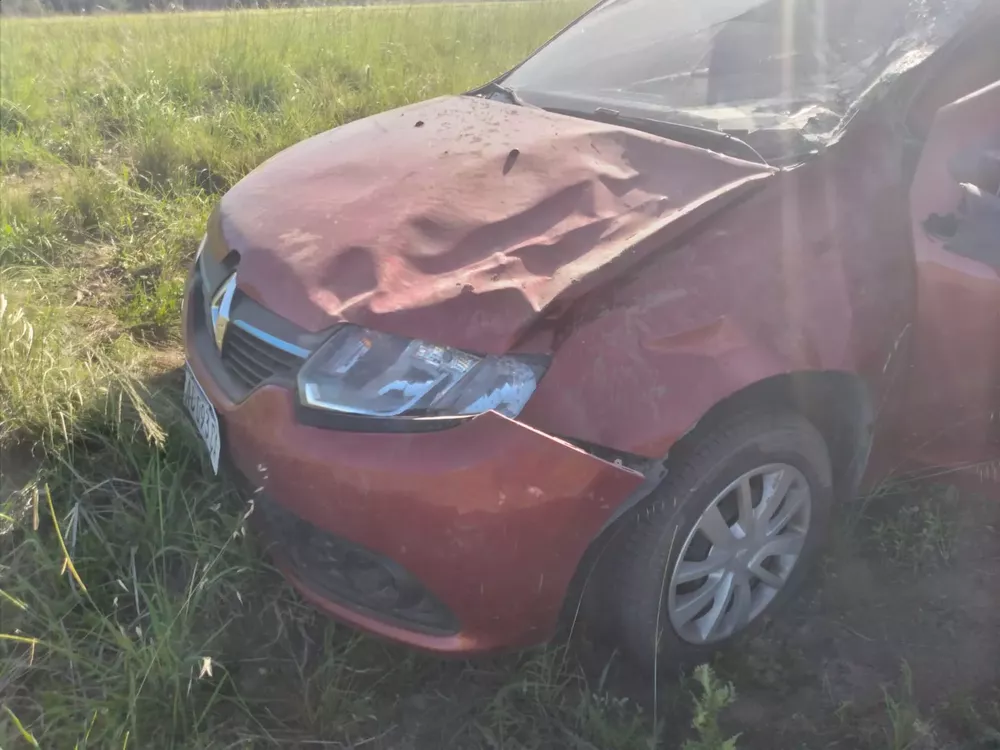 WhatsApp Image 2022-11-23 at 8.19.33 PM (1)