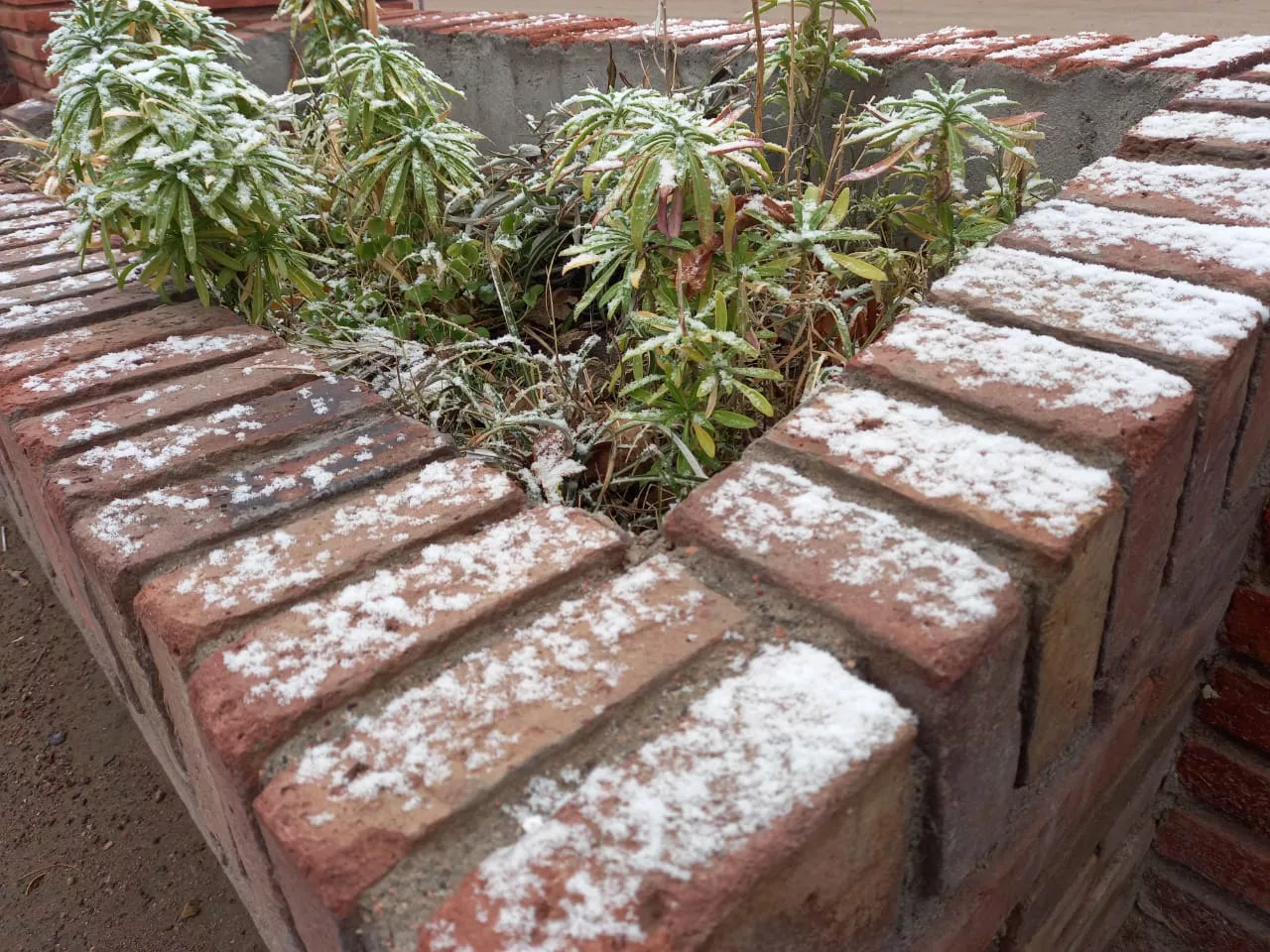 WhatsApp Image 2022-06-21 at 11.13.15 AM