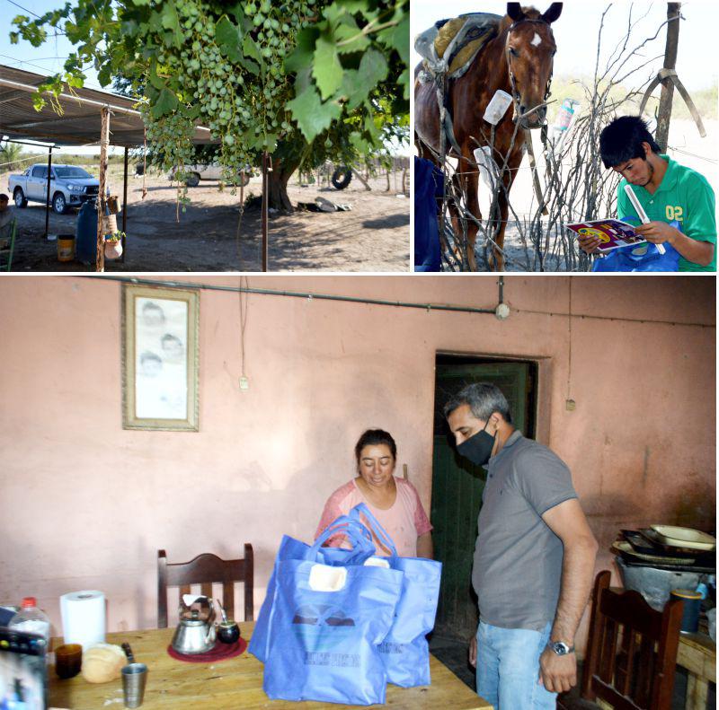 algarrobopuestos0014