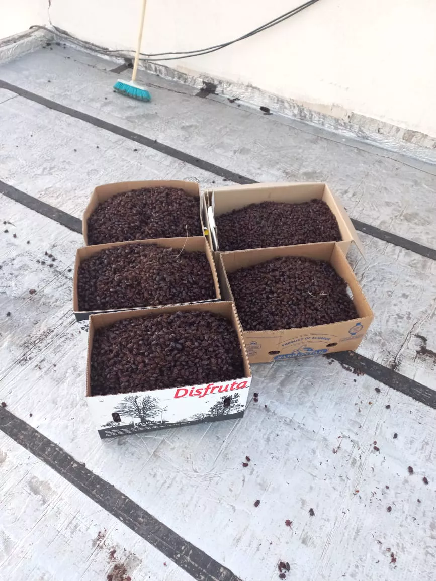 WhatsApp Image 2022-01-09 at 8.59.25 PM