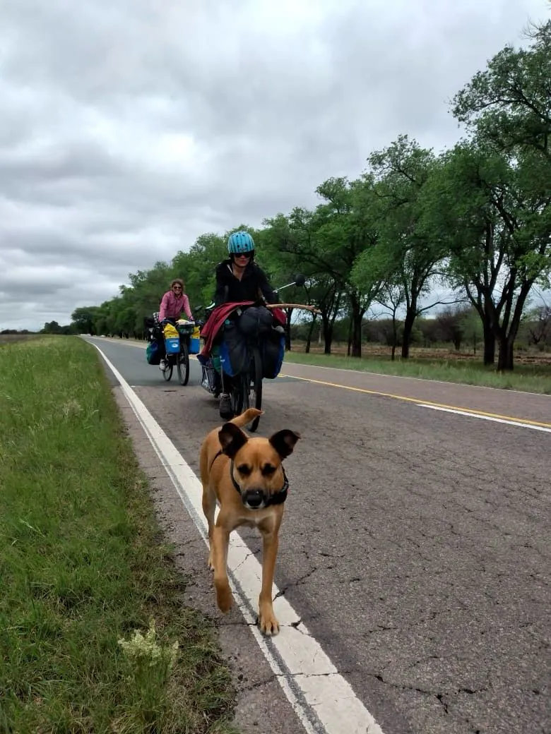 WhatsApp Image 2023-10-24 at 2.48.33 PM