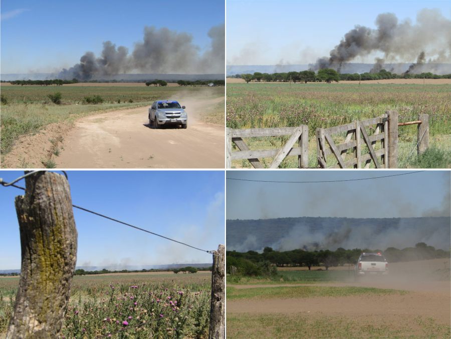 fotosfueggtelldgfddsd