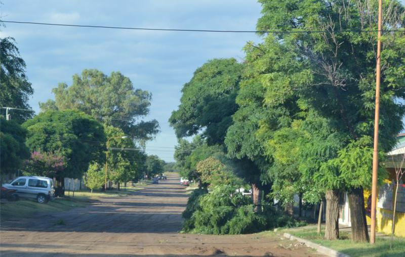 arbolesviento3 arbolesviento3