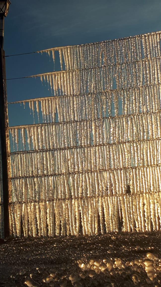 WhatsApp Image 2020-06-10 at 10.50.33(1)