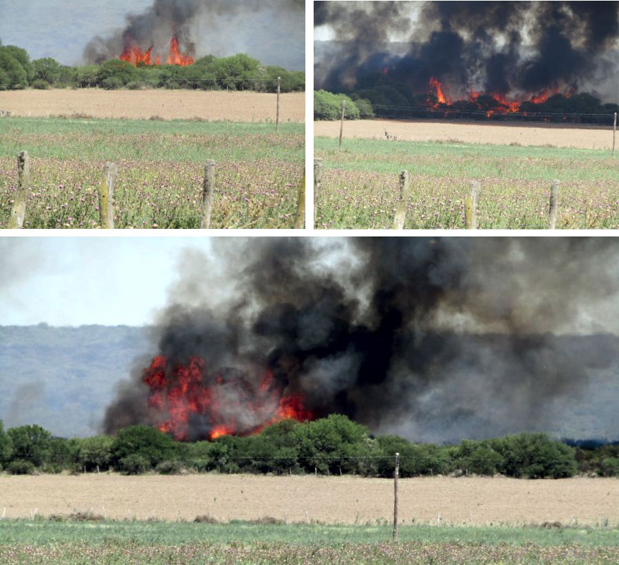 fotosfueggtelldgfddsdd